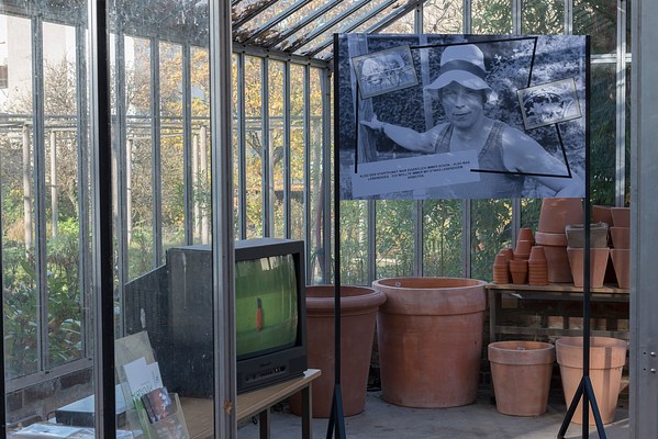 Image 15 of 24