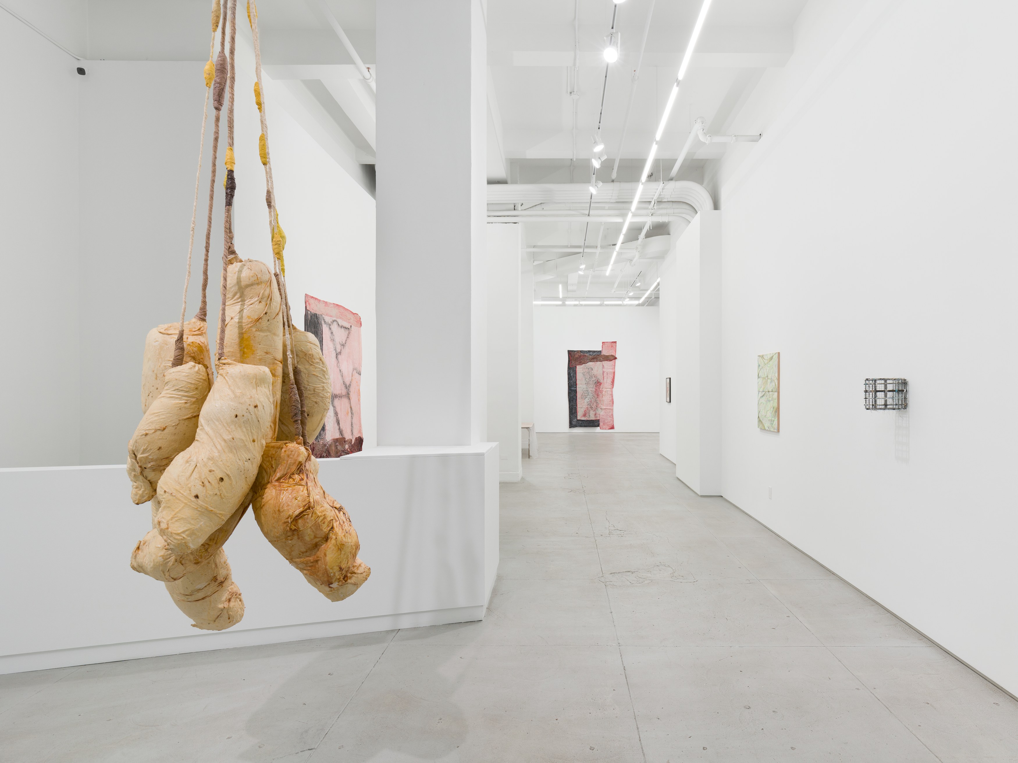 Installation view 2