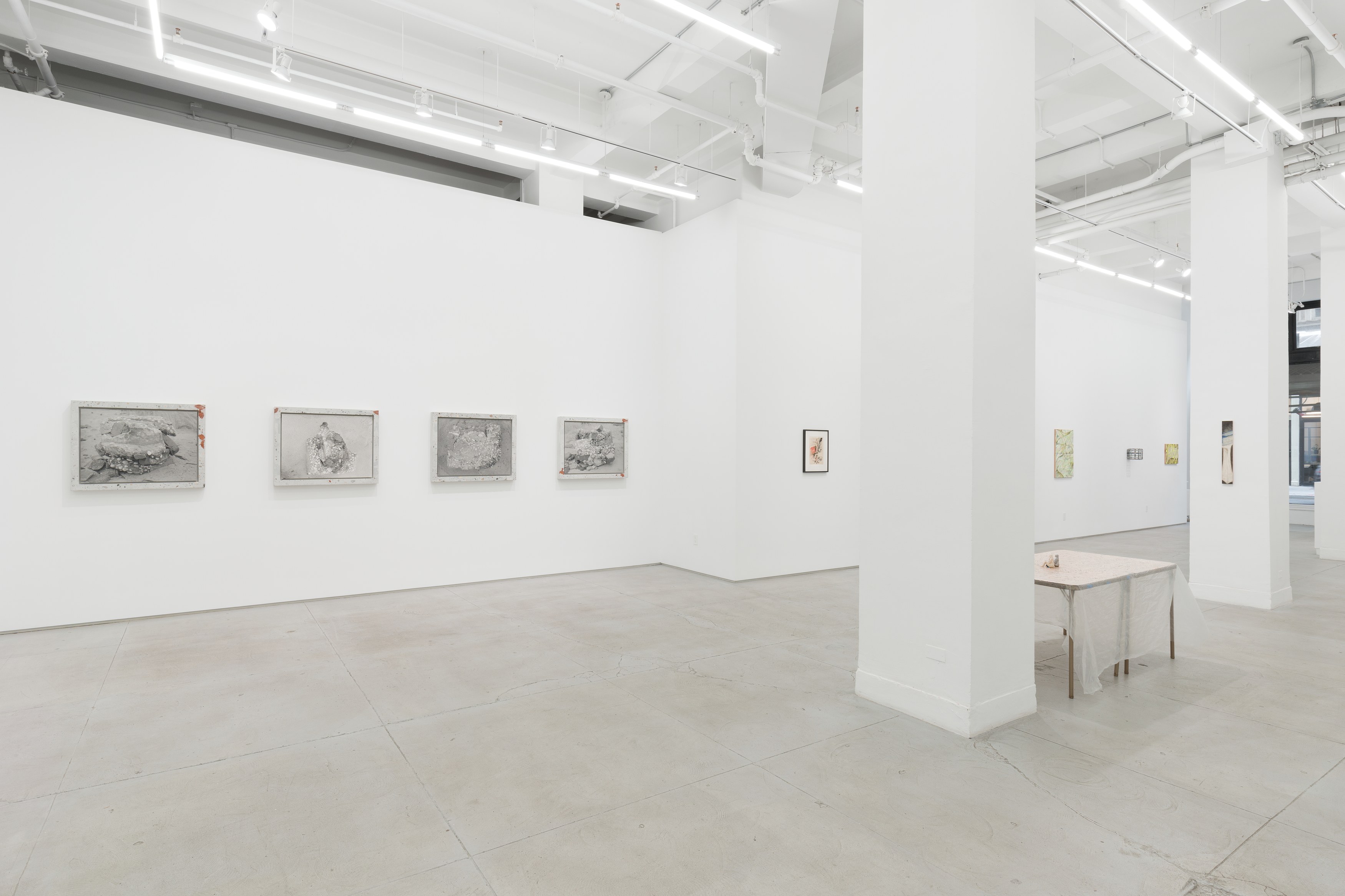 No Title, No Title at Chapter NY, photo 13