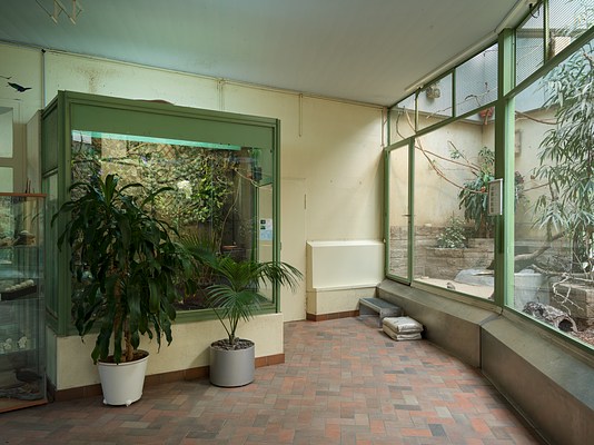 Image 7 of 14