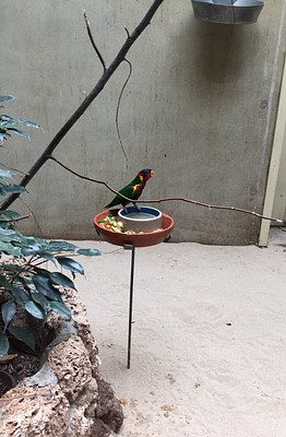 Image 10 of 14