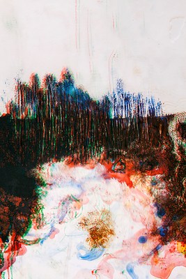 Image 8 of 17