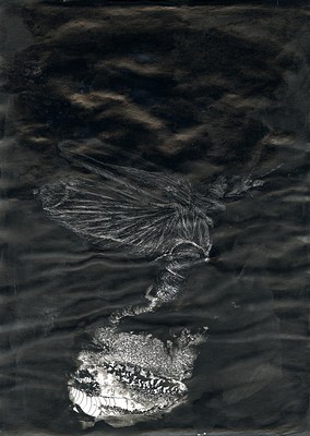 Image 10 of 17