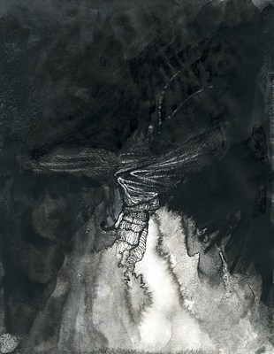 Image 12 of 17