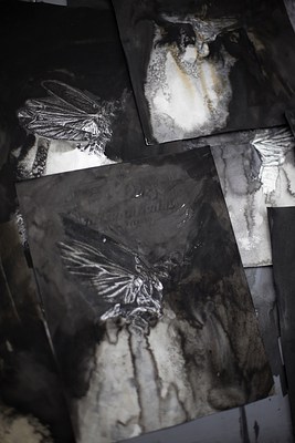 Image 15 of 17