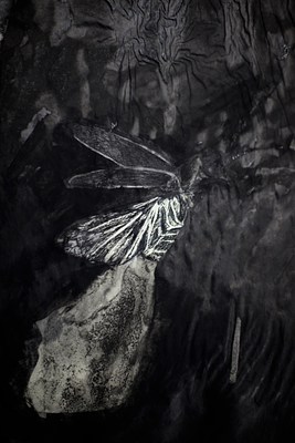Image 16 of 17