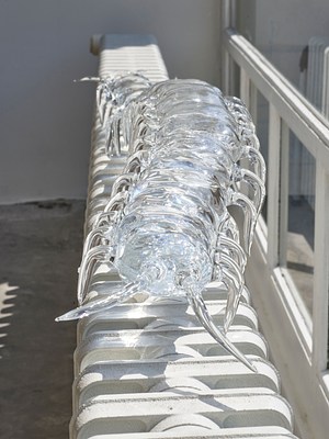 Image 1 of 29