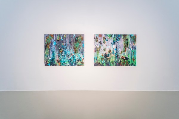 Image 7 of 20