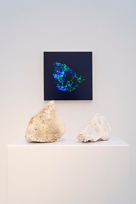 Image 10 of 20