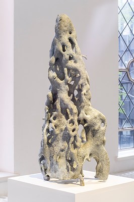 Image 17 of 20
