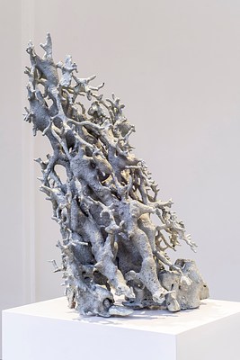 Image 19 of 20
