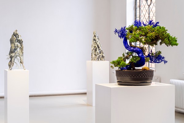 Image 20 of 20