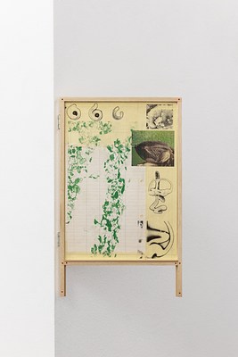 Image 15 of 41