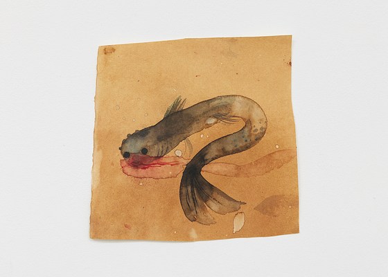 Image 15 of 20
