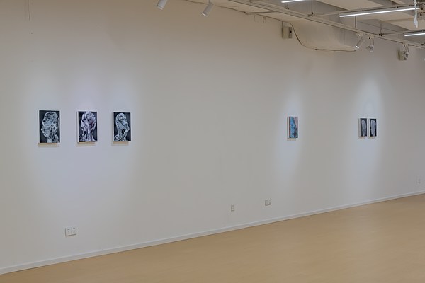 Image 3 of 12
