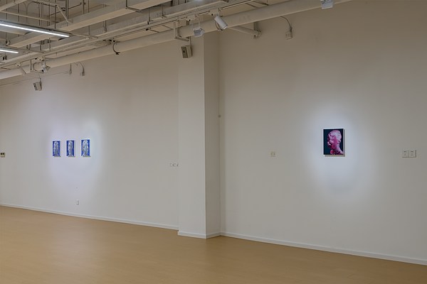 Image 6 of 12