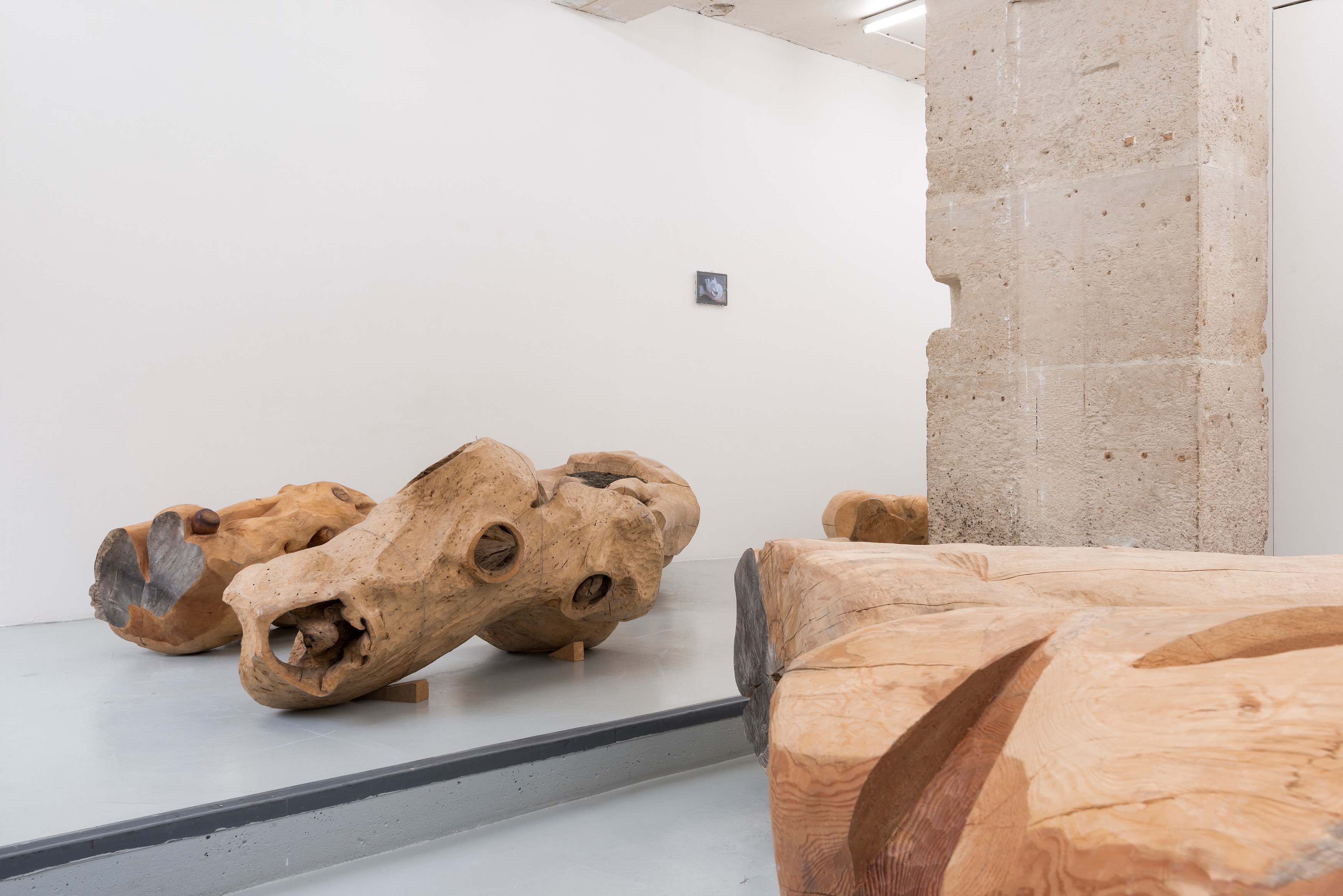 Miriam Cahn, Schlachtfeld/Alterswerk at Galerie Jocelyn Wolff, photo 4