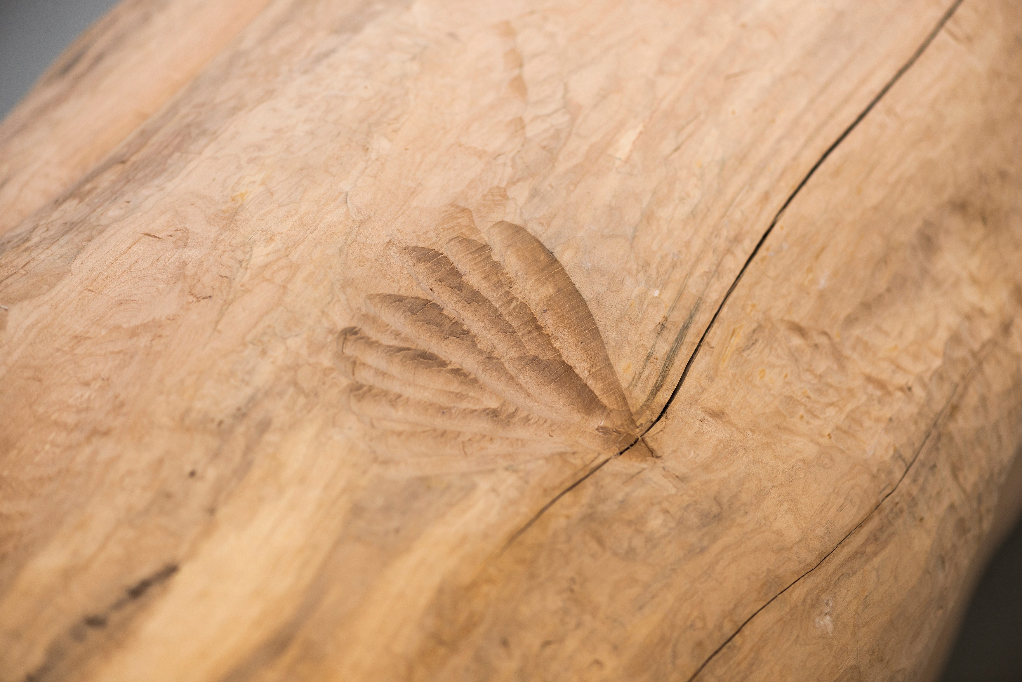 Miriam Cahn, Schlachtfeld/Alterswerk at Galerie Jocelyn Wolff, photo 8
