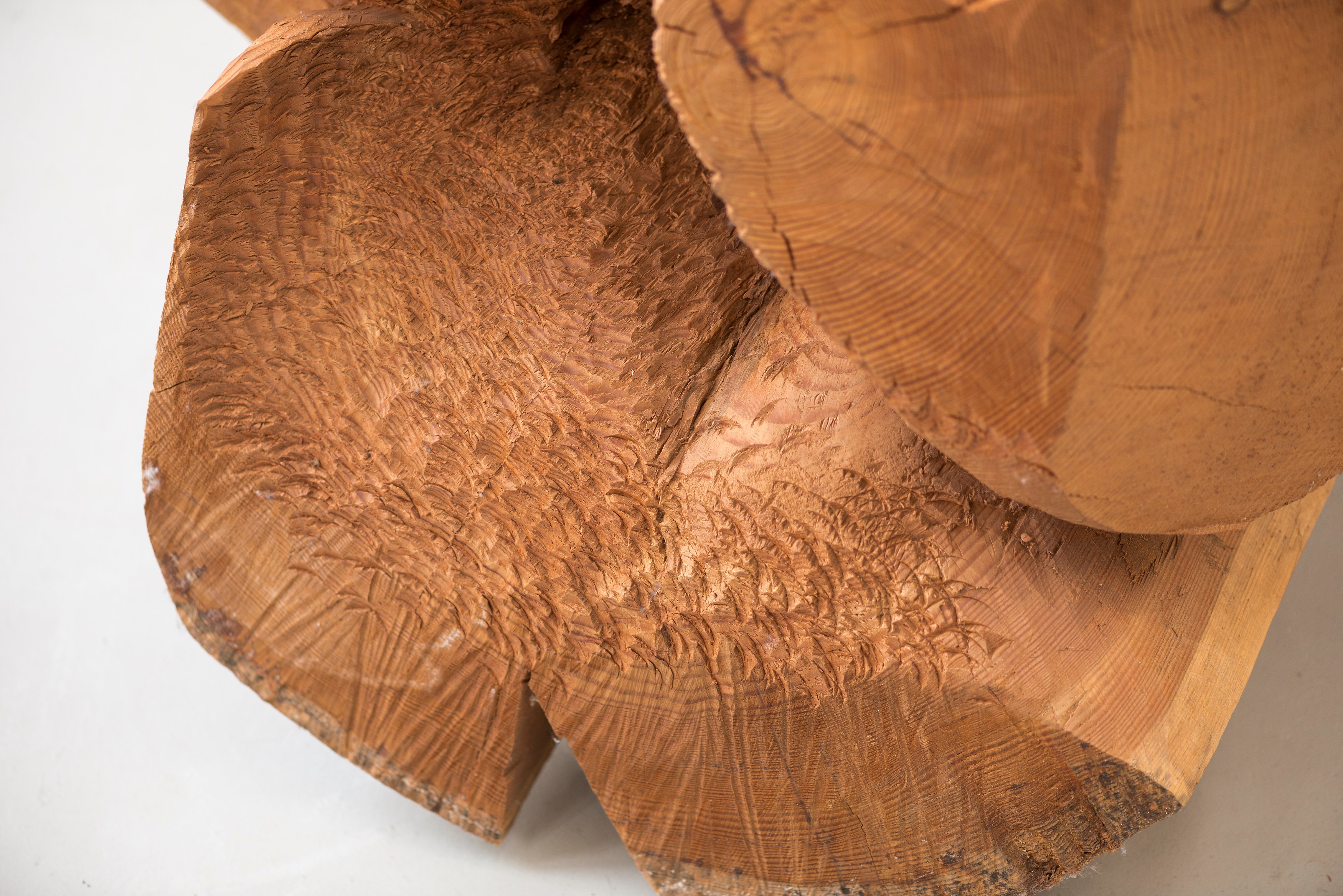 Miriam Cahn, Schlachtfeld/Alterswerk at Galerie Jocelyn Wolff, photo 9