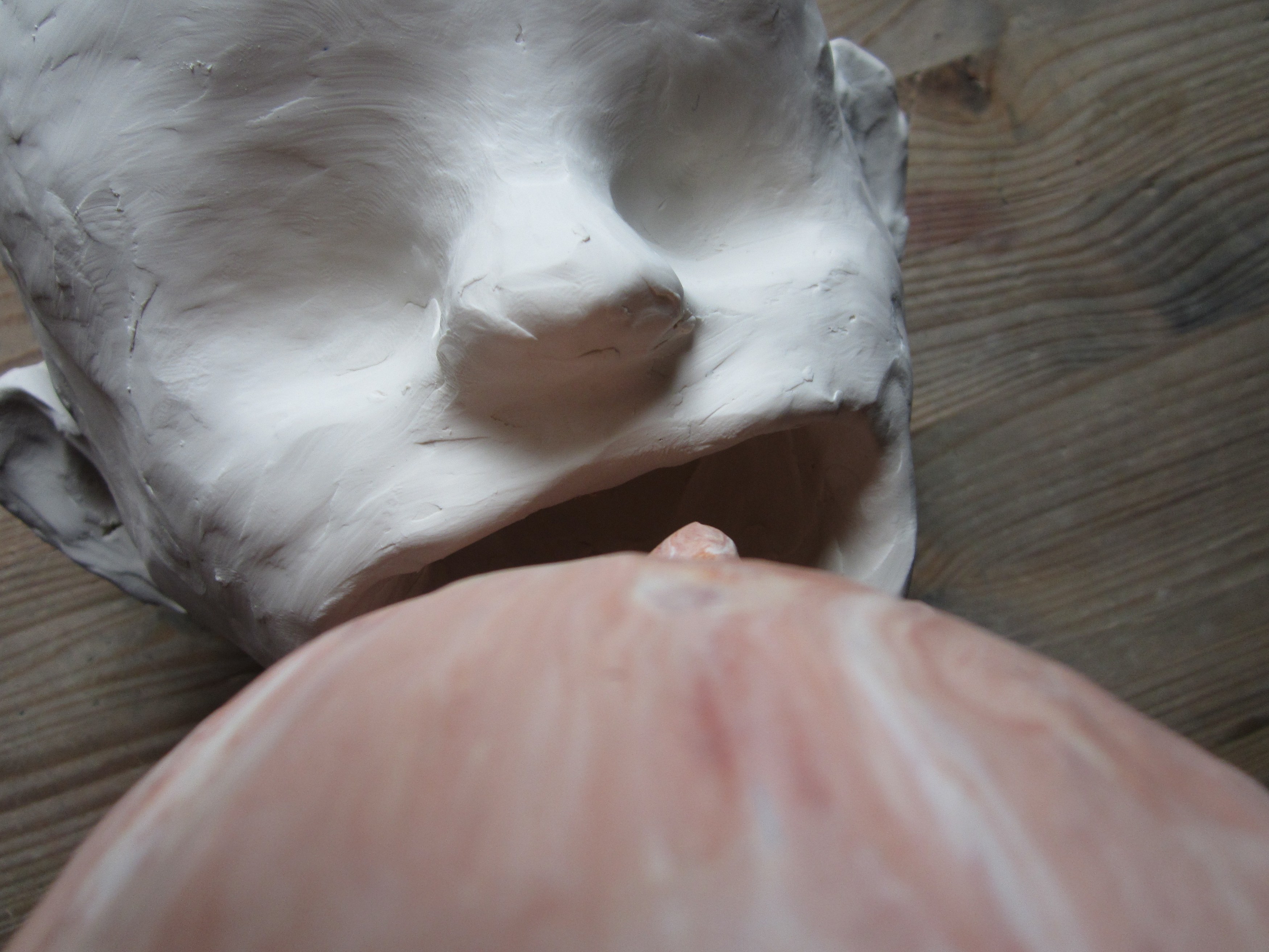 Miriam Cahn, Schlachtfeld/Alterswerk at Galerie Jocelyn Wolff, photo 15