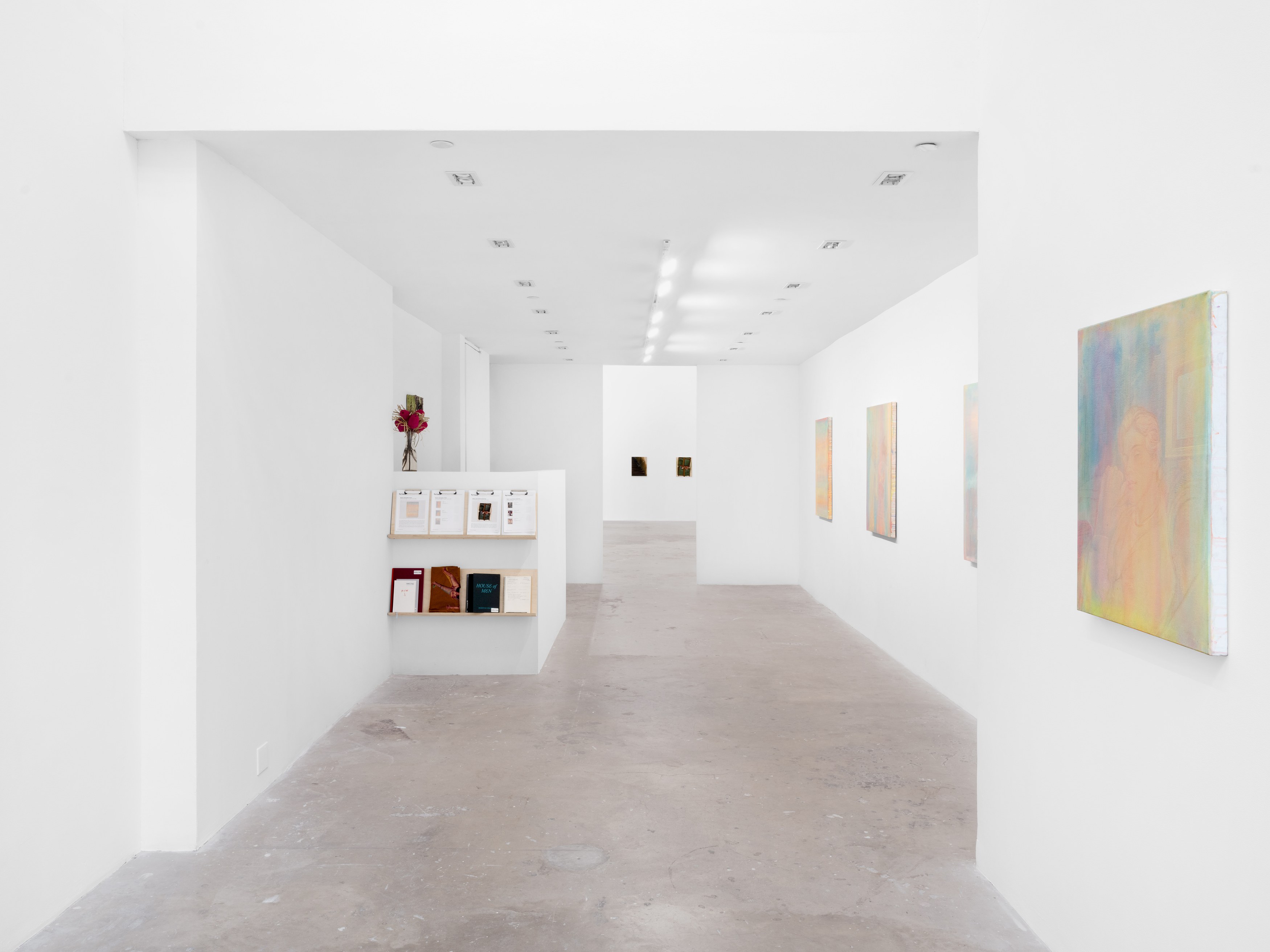 Ramiro Hernandez, Prism at Harkawik, photo 2