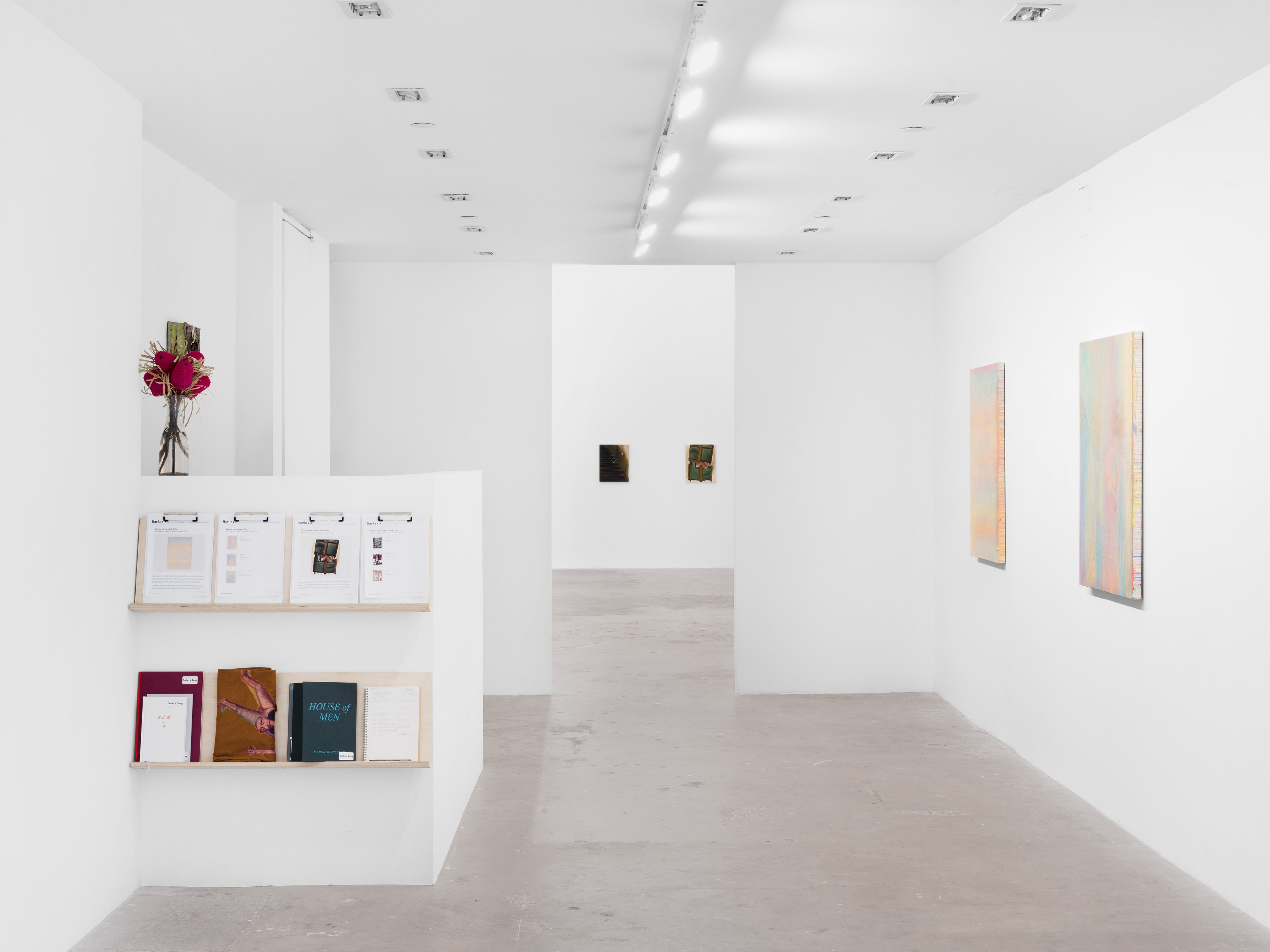 Ramiro Hernandez, Prism at Harkawik, photo 5