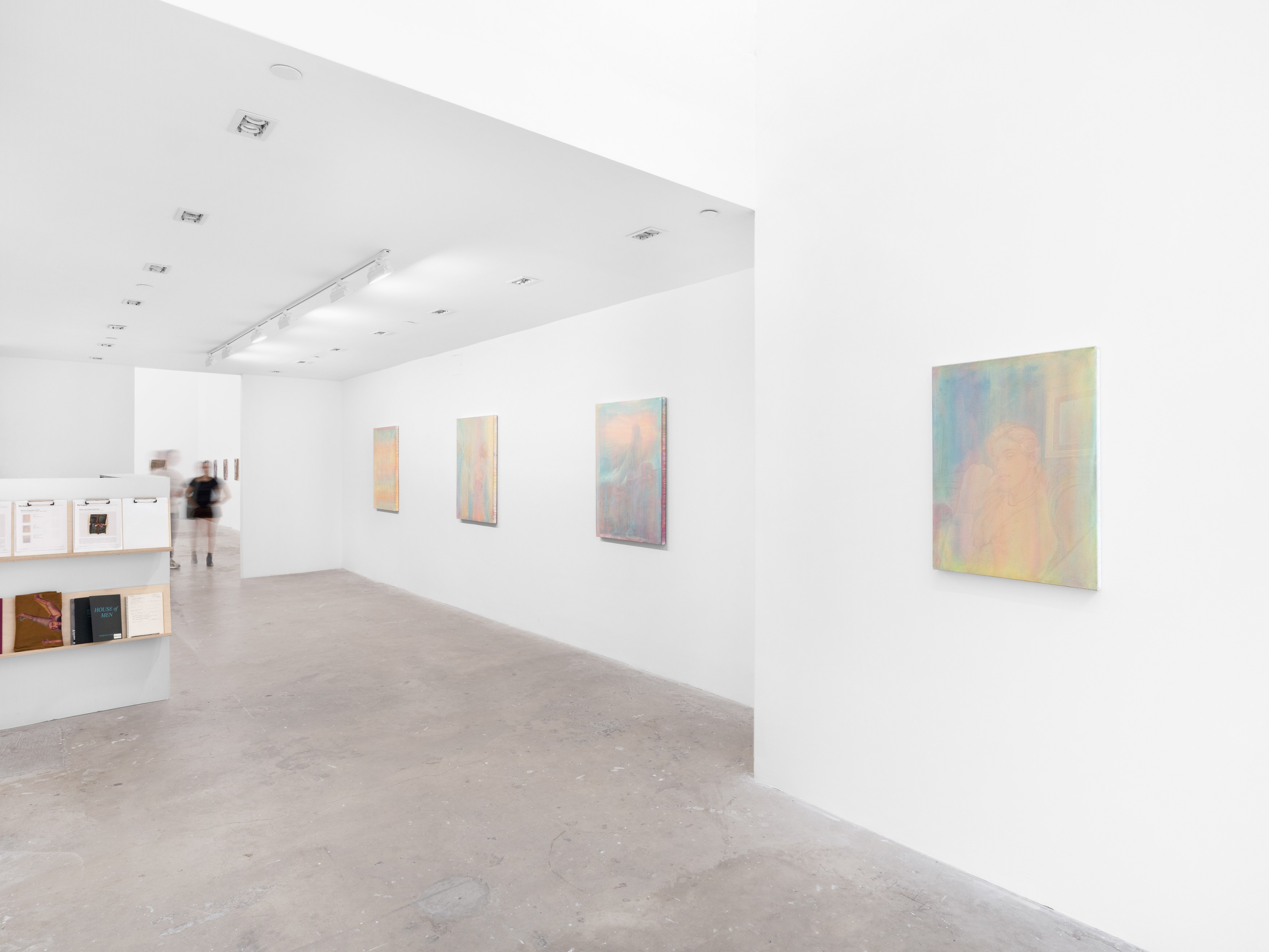 Ramiro Hernandez, Prism at Harkawik, photo 3