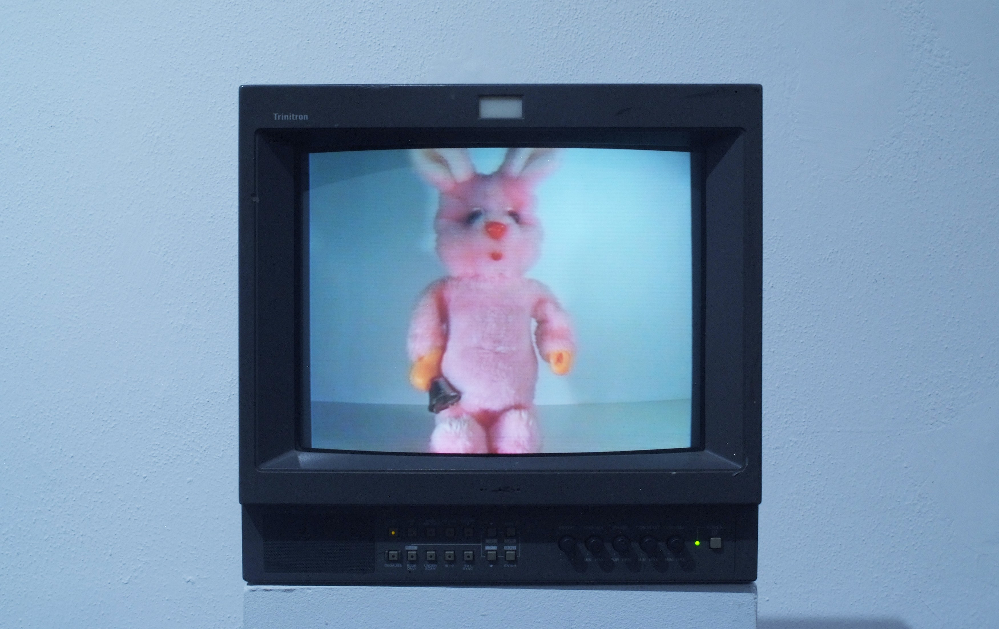 Anna Jermolaewa, 1999 at Meredith Rosen Gallery, photo 2