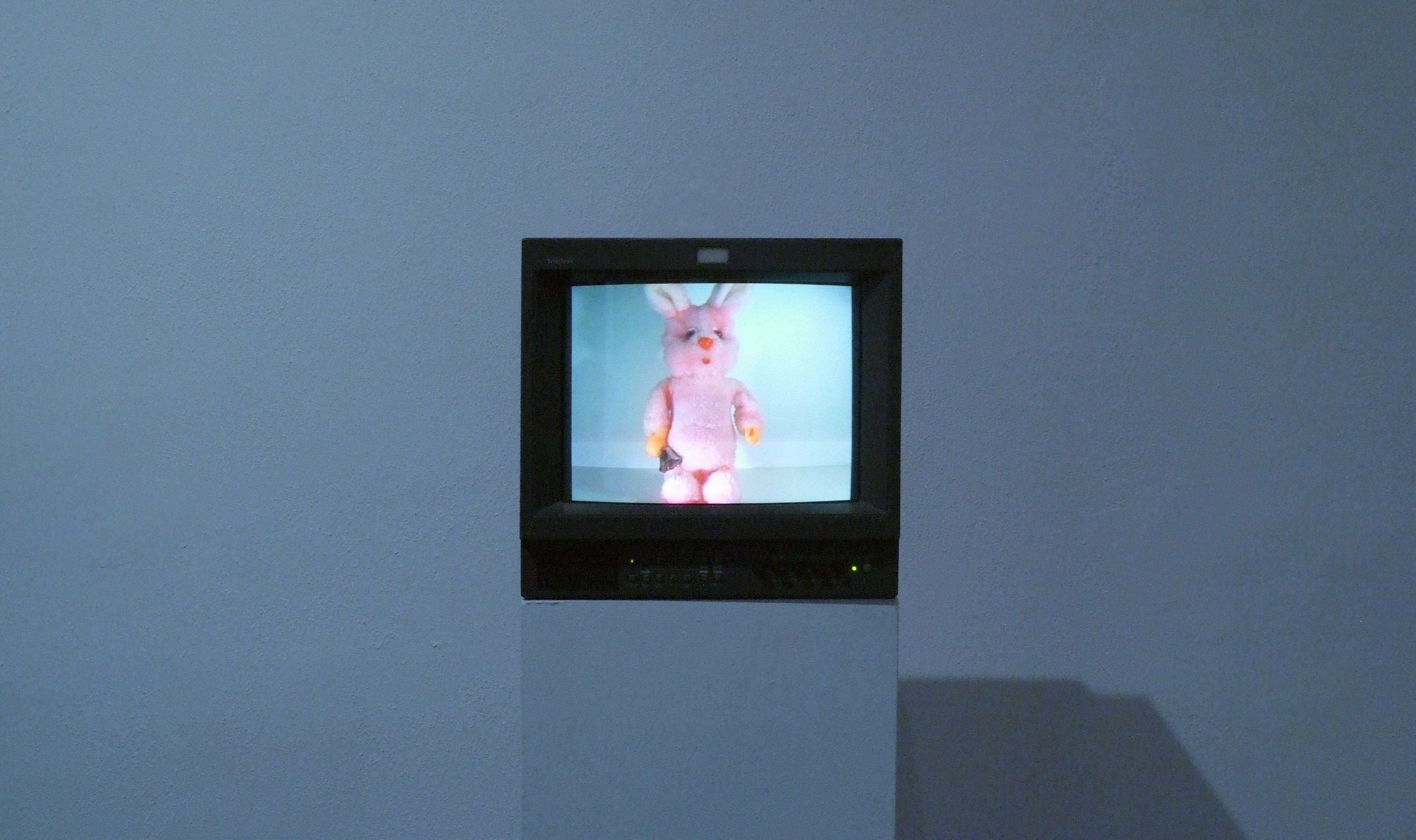Anna Jermolaewa, 1999 at Meredith Rosen Gallery, photo 3