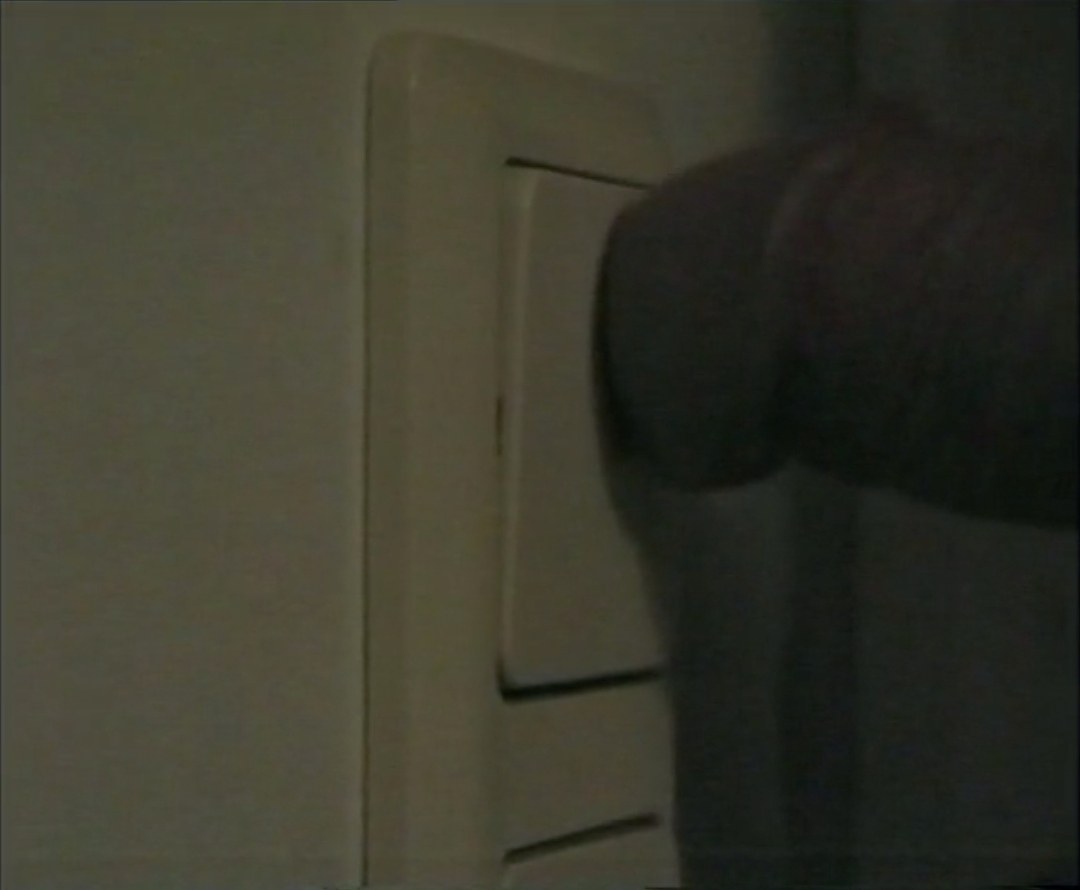 Anna Jermolaewa, 1999 at Meredith Rosen Gallery, photo 9