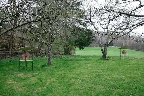 Image 5 of 63