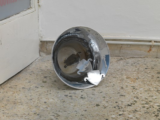 Image 4 of 17