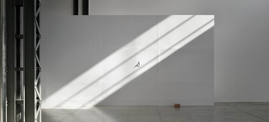 Image 16 of 17
