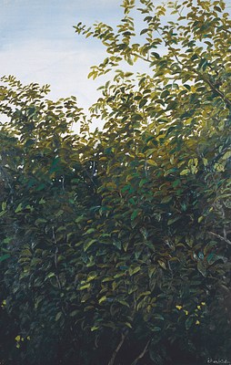 Image 16 of 31