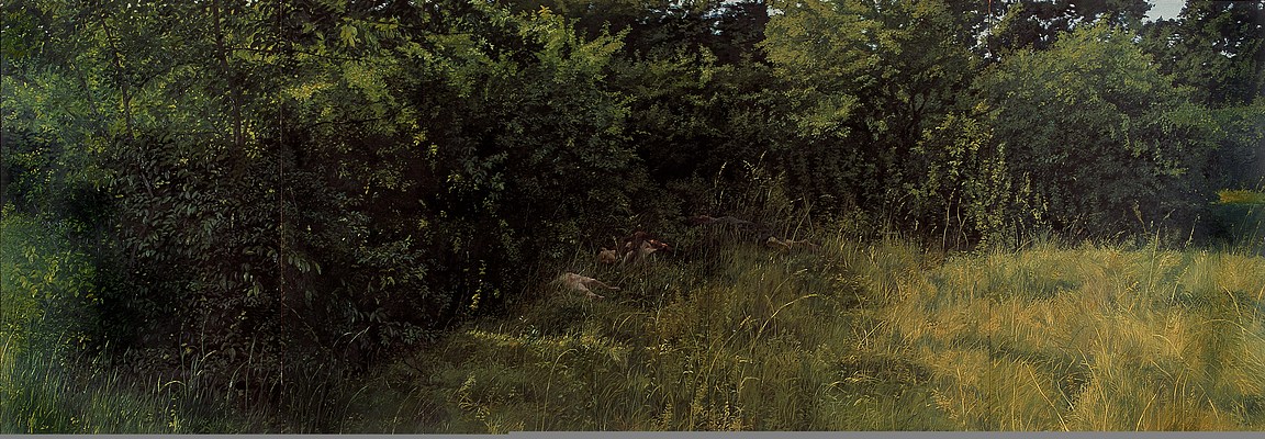 Image 17 of 31