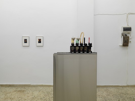 Image 7 of 17