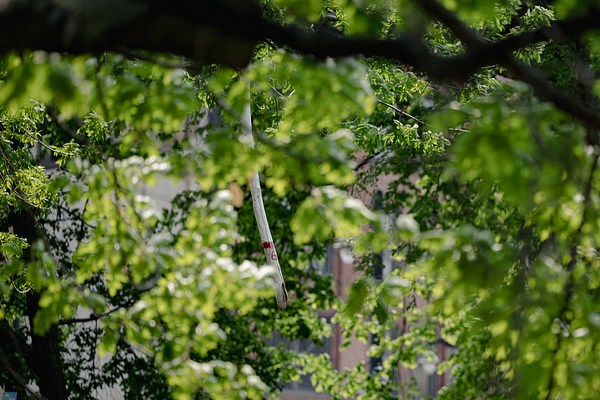 Image 13 of 47