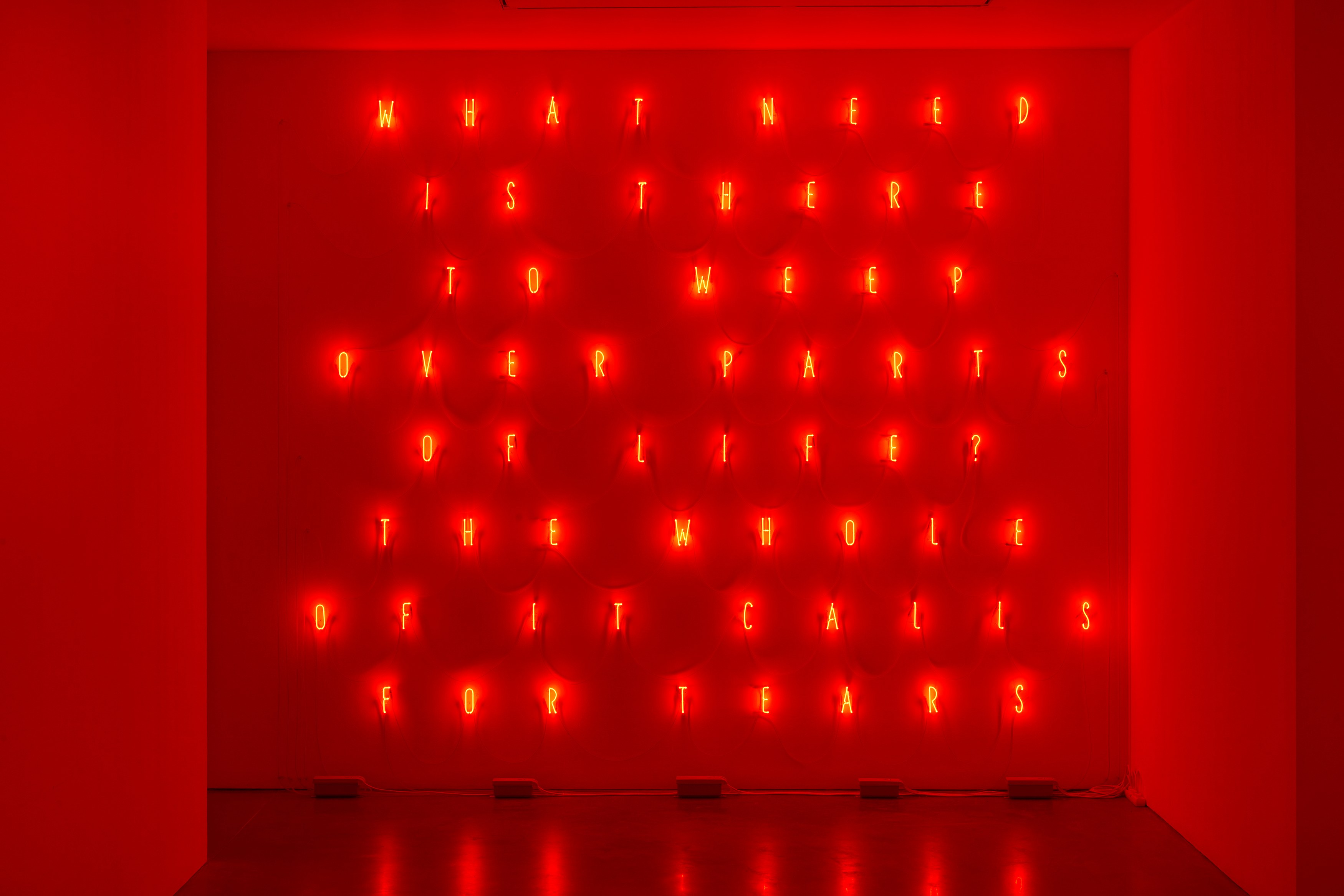 Alfredo Jaar, The Temptation to Exist at Galerie Thomas Schulte, photo 2