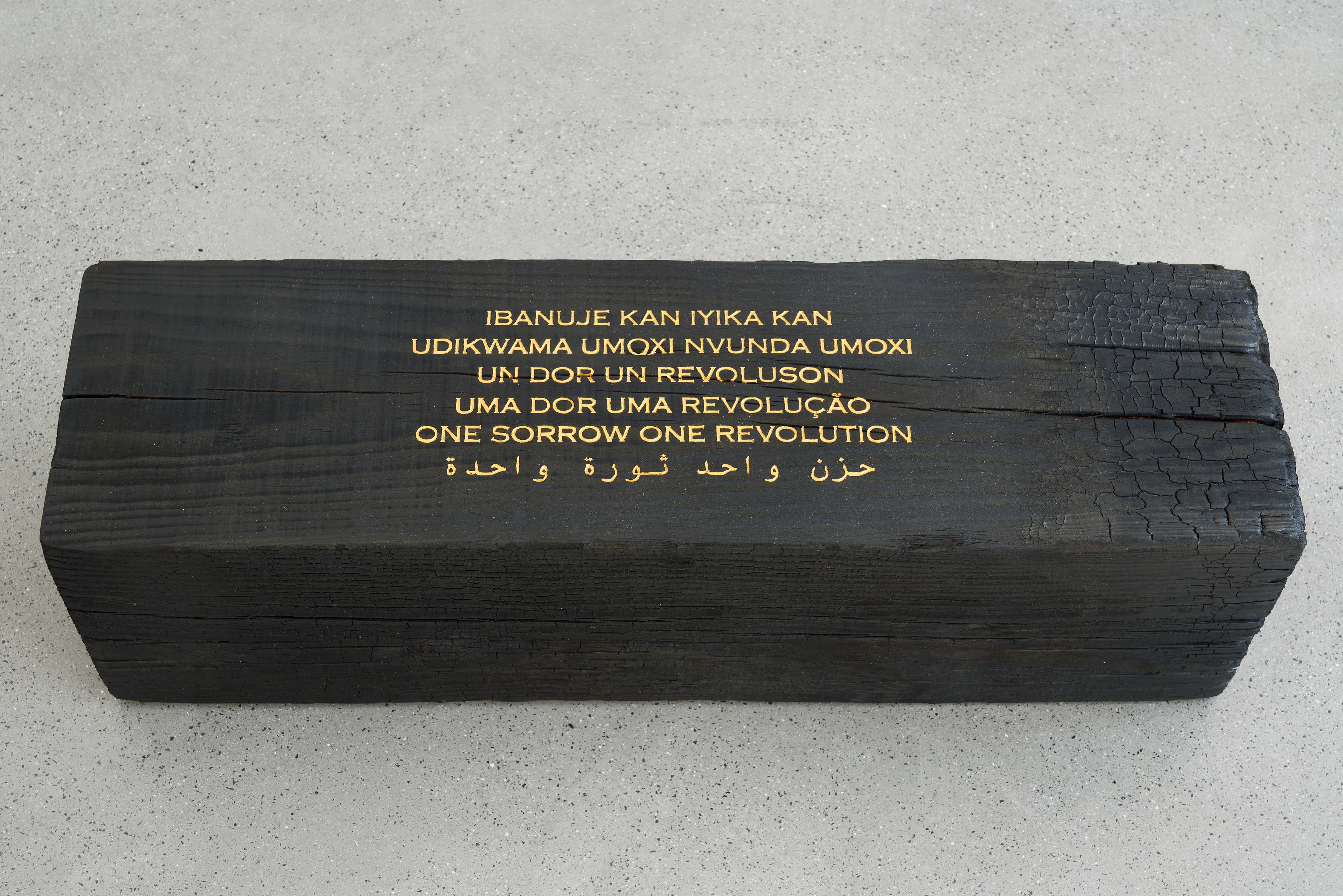 Alfredo Jaar, The Temptation to Exist at Galerie Thomas Schulte, photo 16