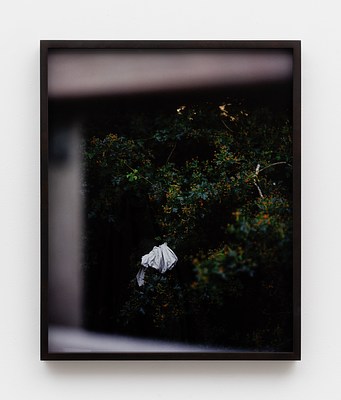 Image 14 of 15