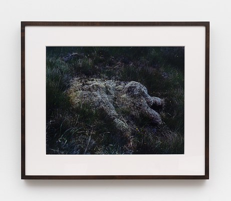 Image 15 of 15