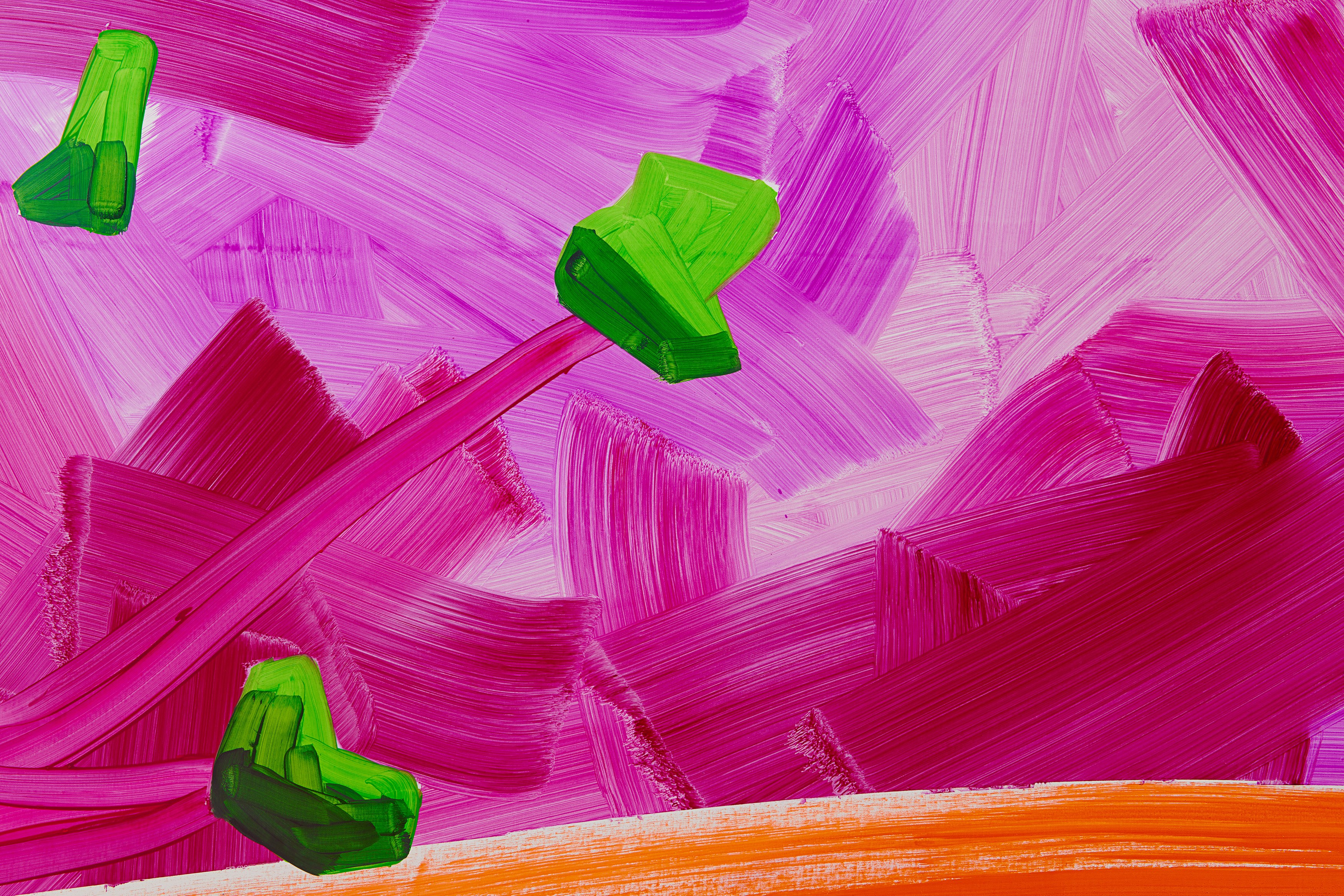 Plastic Stars, Plastic Stars at Tara Downs, photo 22