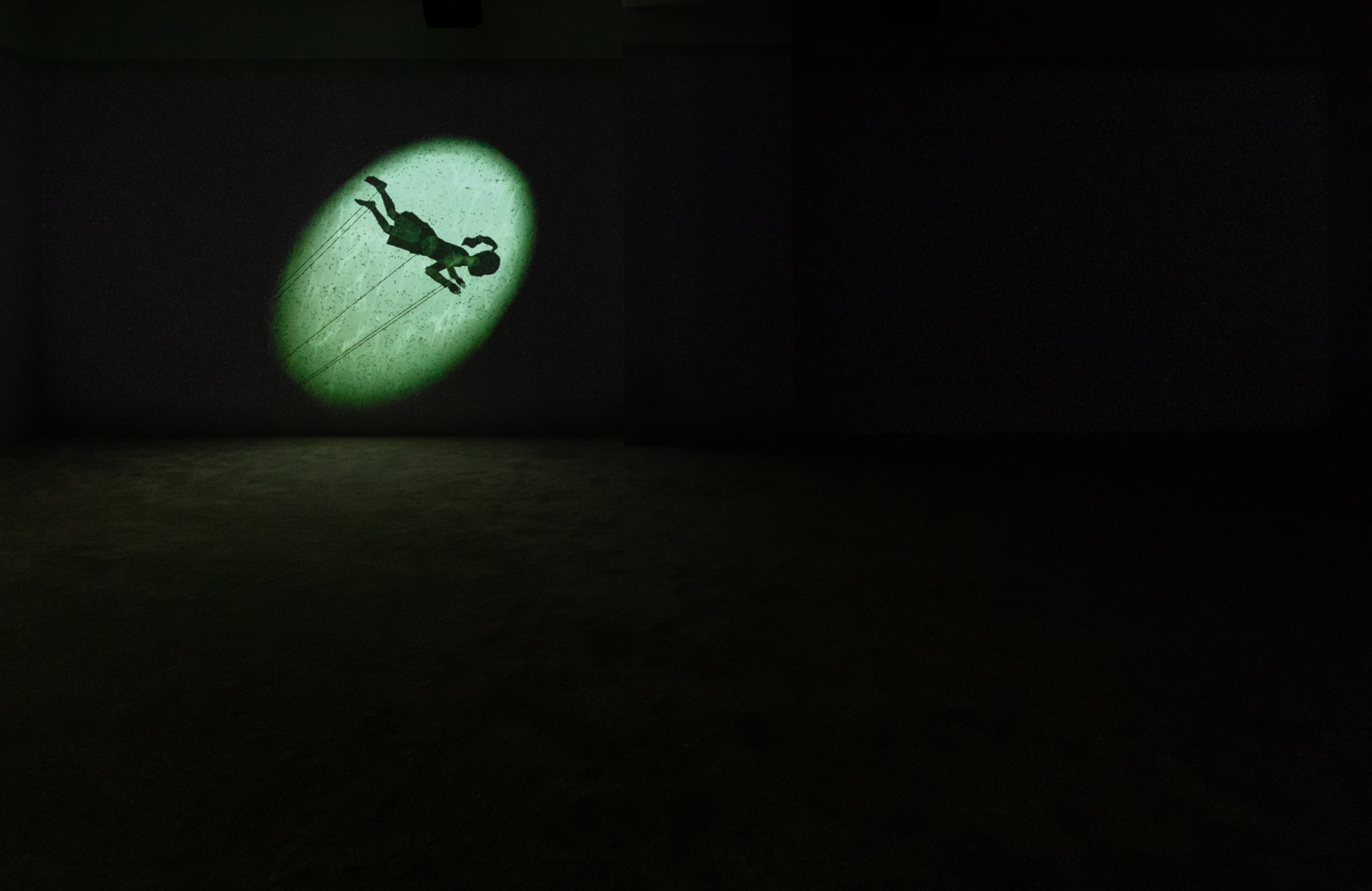 Lap-See Lam, Tales of the Altersea at Swiss Institute, photo 10