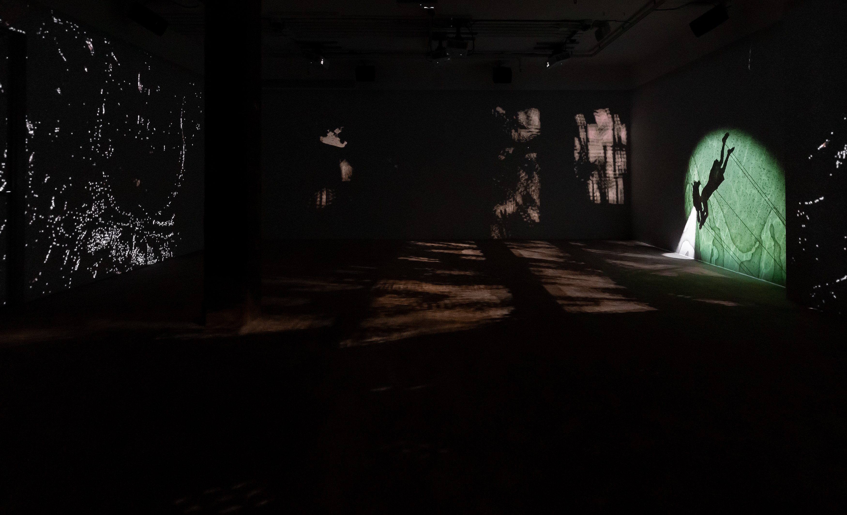 Lap-See Lam, Tales of the Altersea at Swiss Institute, photo 13