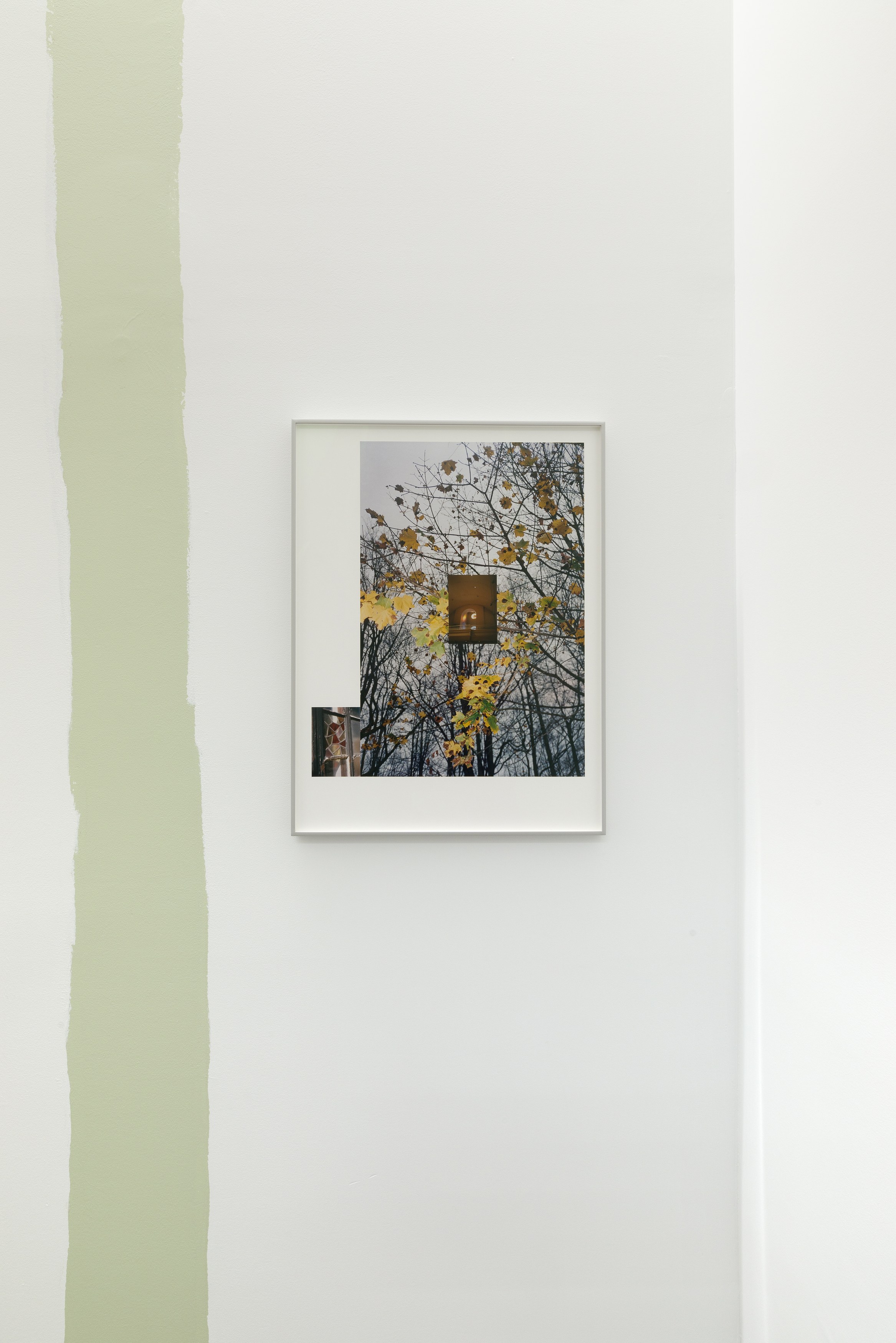Spora, Spora at Swiss Institute, photo 5