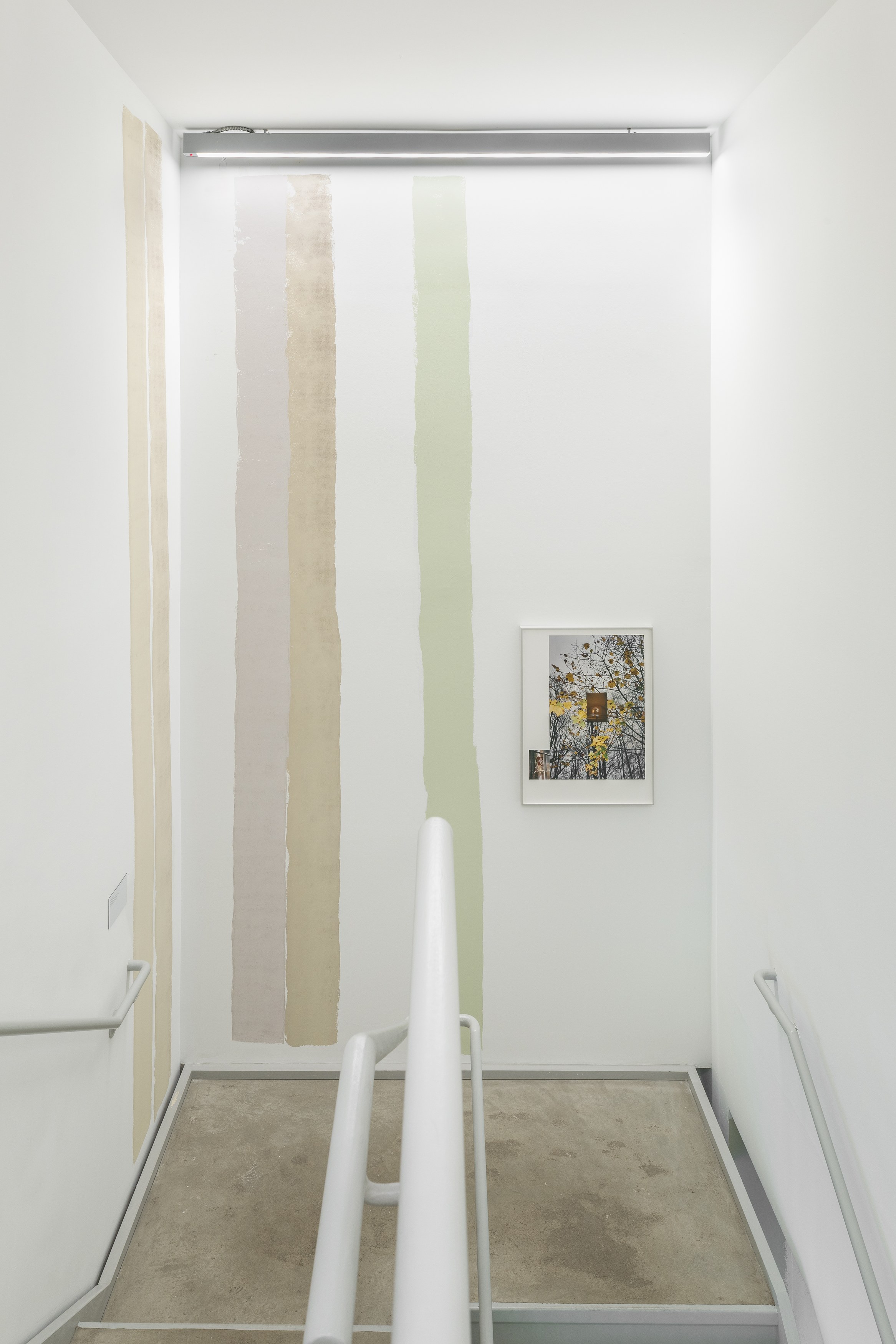 Spora, Spora at Swiss Institute, photo 7