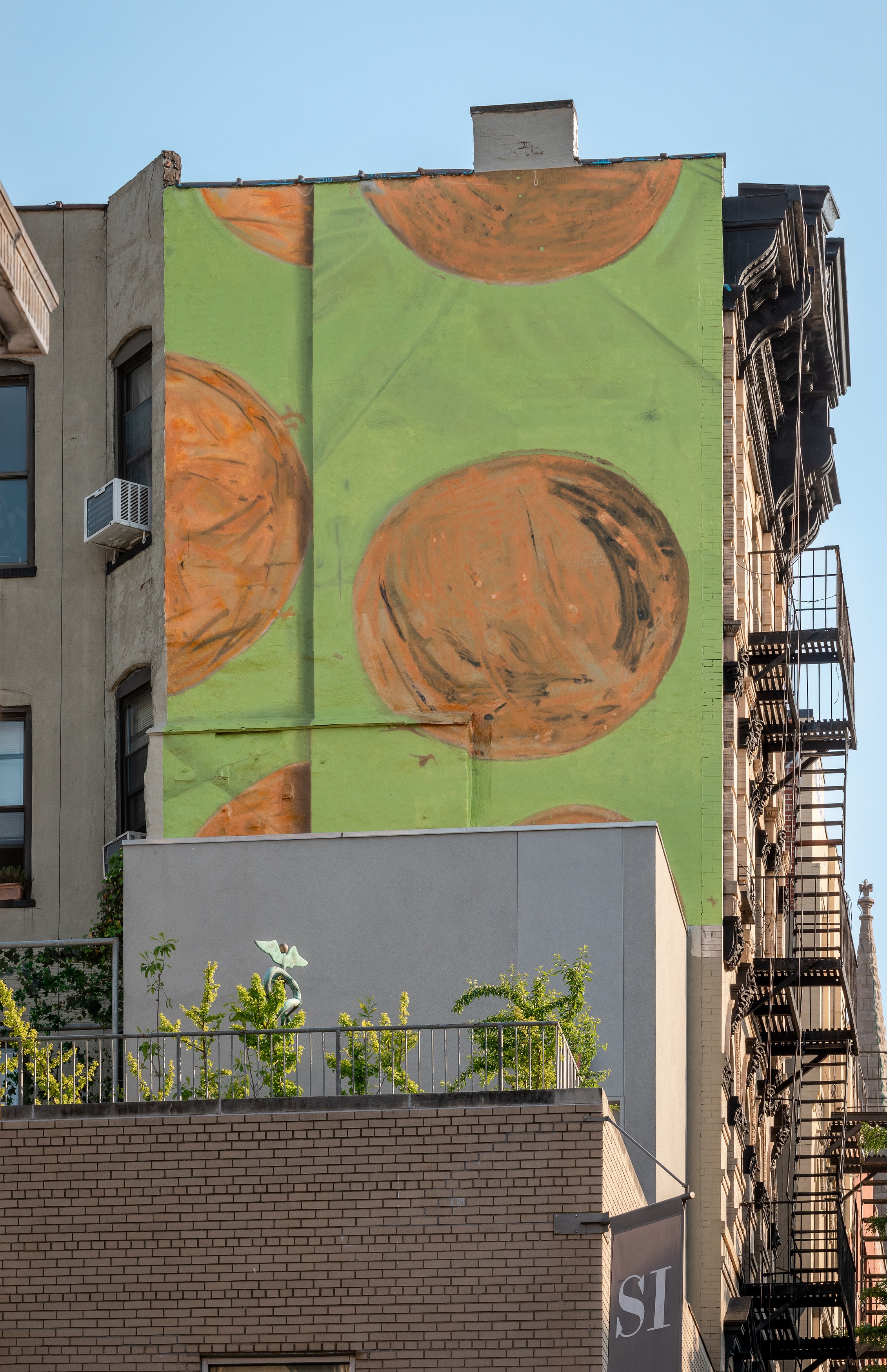 Spora, Spora at Swiss Institute, photo 19