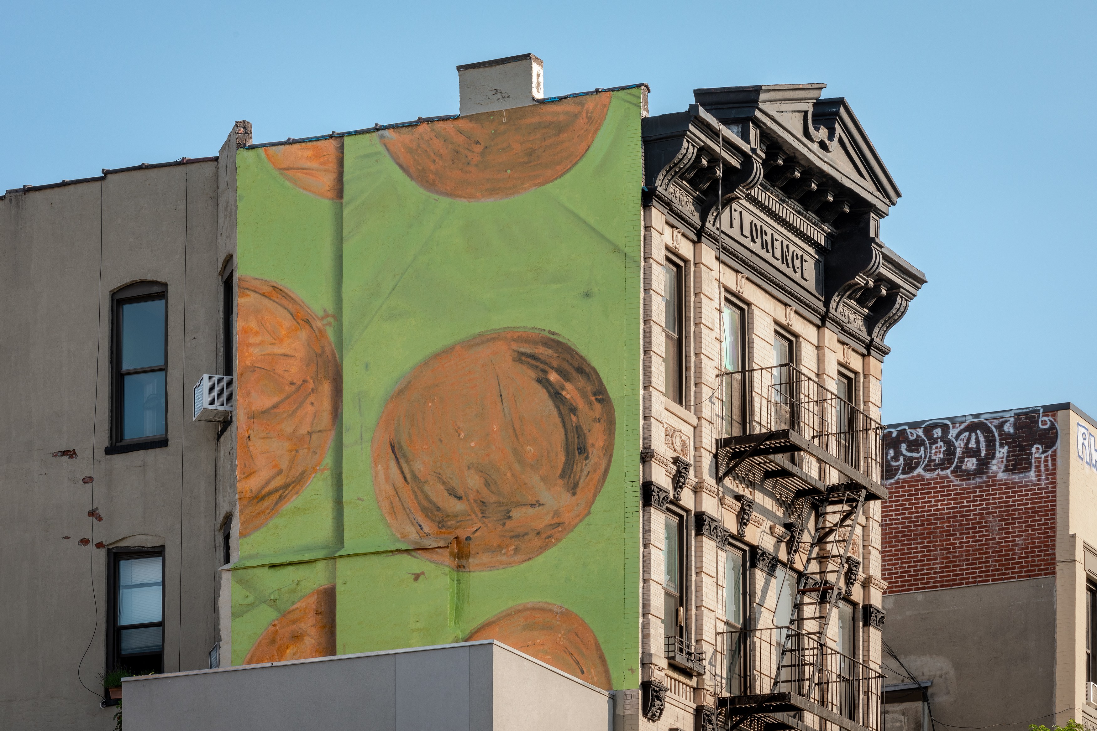 Spora, Spora at Swiss Institute, photo 18