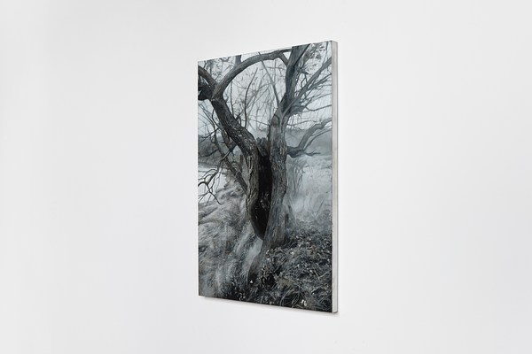 Image 3 of 20