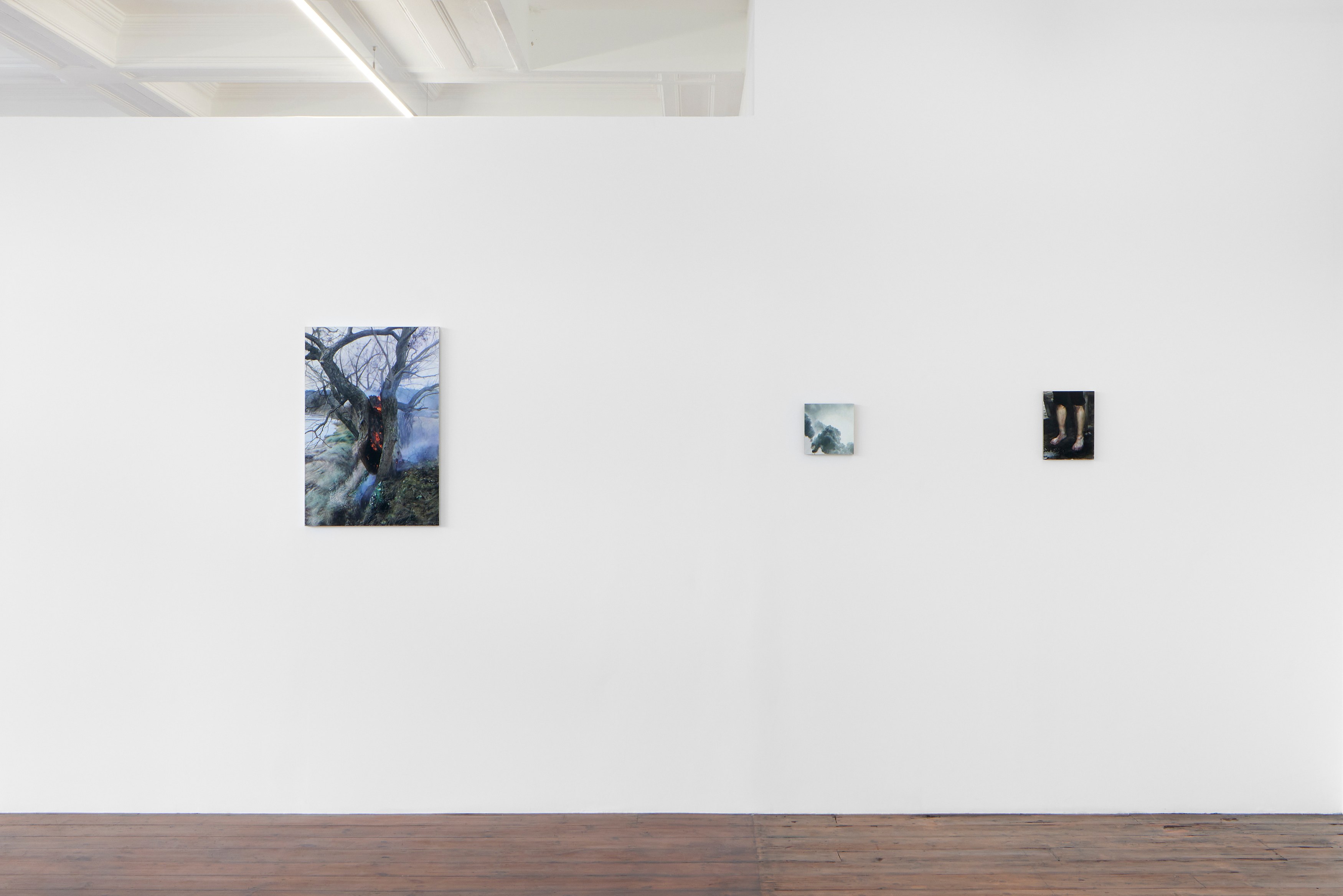 Karol Palczak, San at Emalin, photo 14